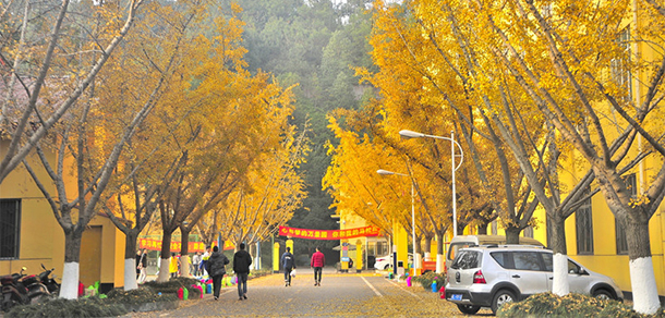 成都理工大學(xué)工程技術(shù)學(xué)院