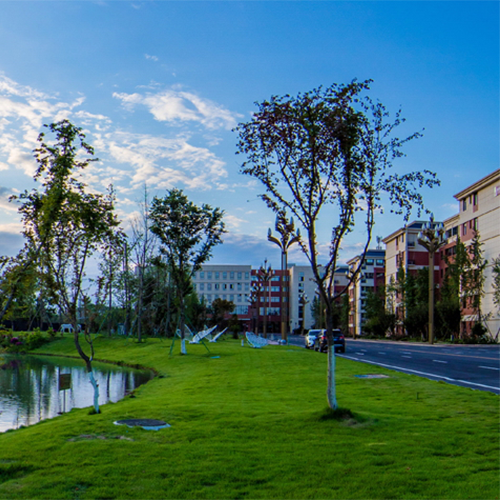 大學志