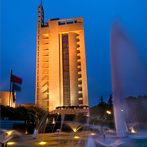 我的大學(xué)