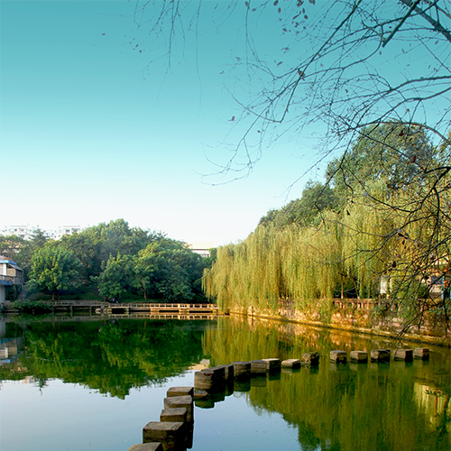 大學(xué)簡介