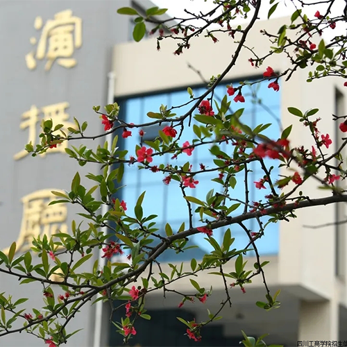 四川工商學(xué)院-流金歲月