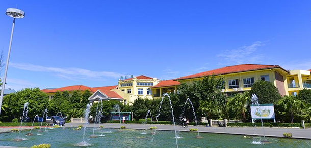 我的大學(xué)-大學(xué)志