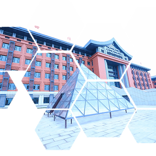 我的大學(xué)
