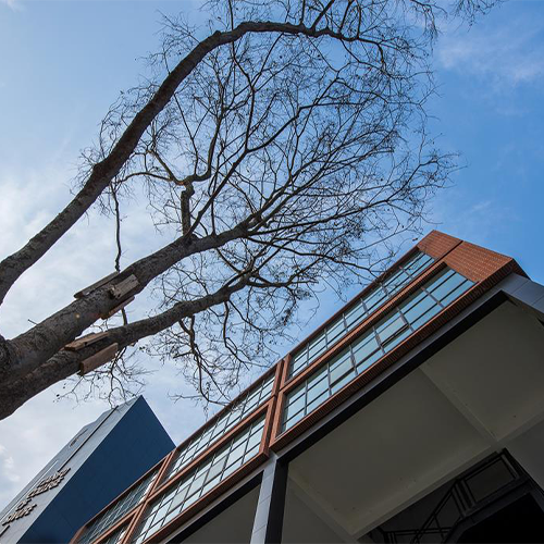 西南財經(jīng)大學天府學院-流金歲月