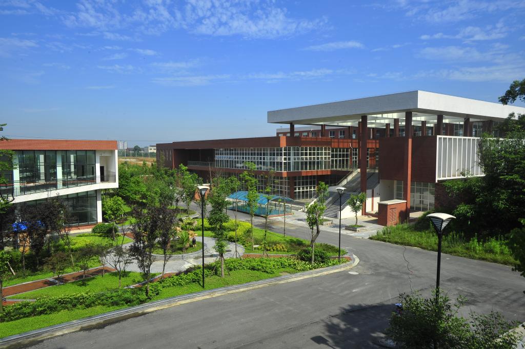 西南財經(jīng)大學天府學院 我的大學