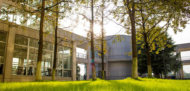 四川大學錦江學院