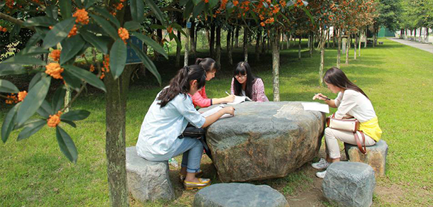 四川大學錦江學院