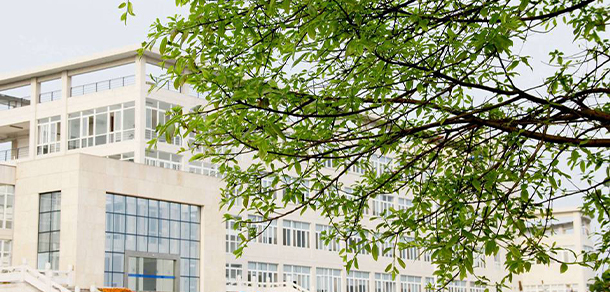 我的大學(xué)-大學(xué)志