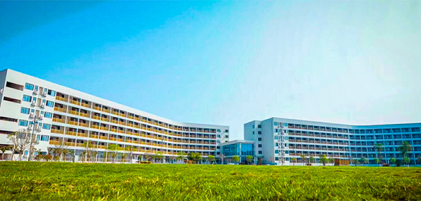我的大學-大學志
