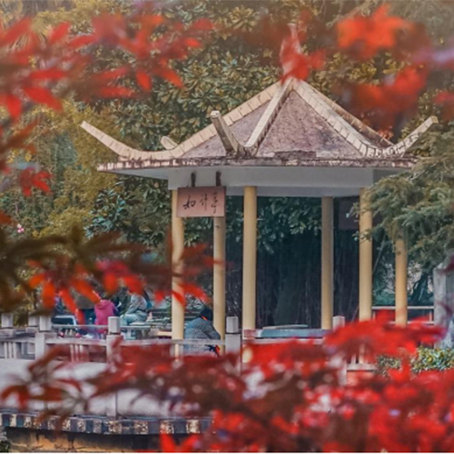 成都理工大學(xué)-最美校園