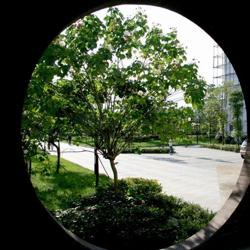 我的大學