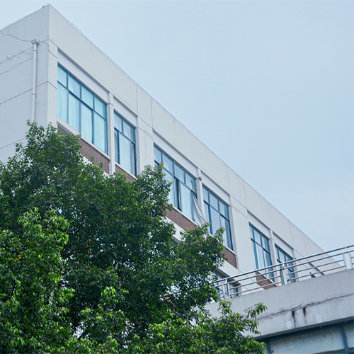 我的大學(xué)