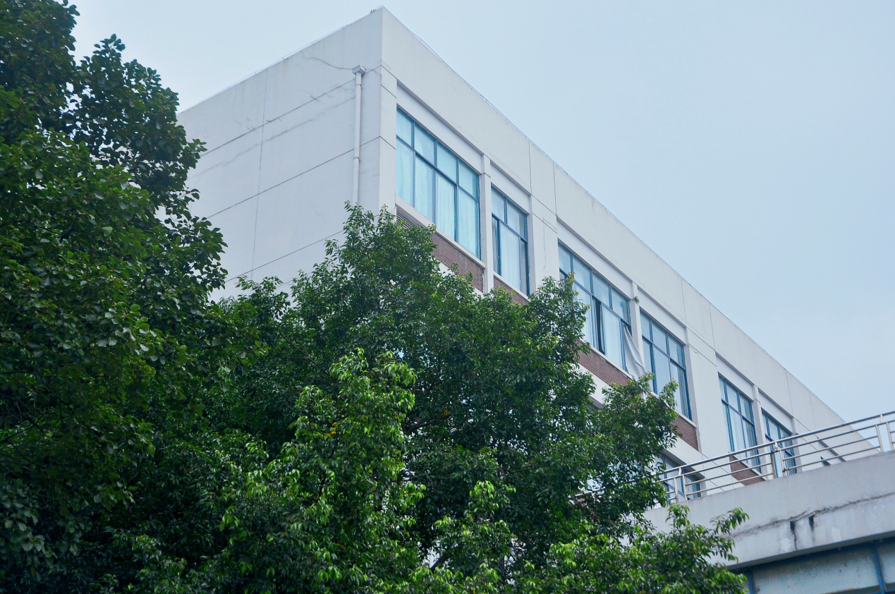 成都師范學院 我的大學