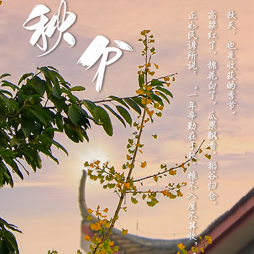 大學之志