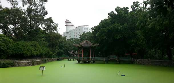 四川機電職業(yè)技術學院 - 最美院校