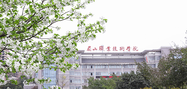 眉山職業(yè)技術(shù)學院 - 最美大學