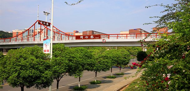 四川中醫(yī)藥高等?？茖W(xué)校 - 最美大學(xué)