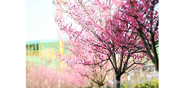 四川幼兒師范高等?？茖W(xué)校