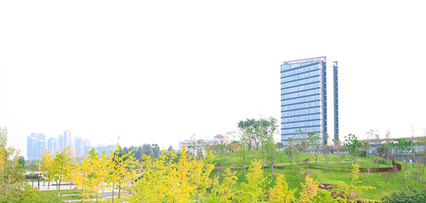 成都工業(yè)職業(yè)技術(shù)學院 - 最美大學