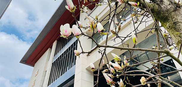 貴州中醫(yī)藥大學時珍學院