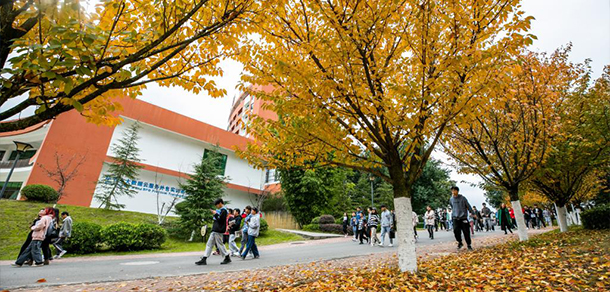 畢節(jié)職業(yè)技術(shù)學院 - 最美大學
