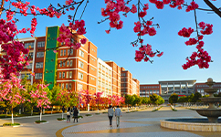 云南經濟管理學院 - 我的大學