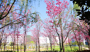 麗江師范學院 - 最美印記