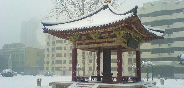 我的大學(xué)-大學(xué)志