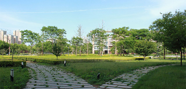 我的大學(xué)-大學(xué)志