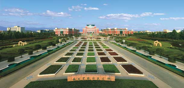 西北農(nóng)林科技大學 - 最美院校