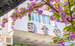 文化標識：校名題寫 / ?；赵O計