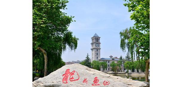 我的大學(xué)-大學(xué)志