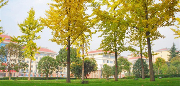 西安思源學院 - 最美大學