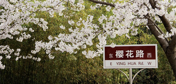 西安思源學院 - 最美大學