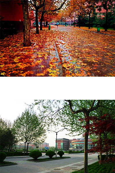 長安大學(xué)興華學(xué)院