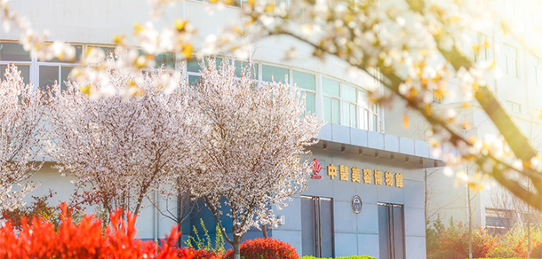 西安海棠職業(yè)學院 - 最美大學