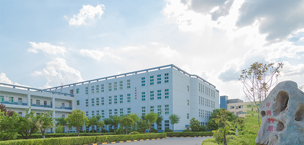 西安海棠職業(yè)學院 - 最美大學