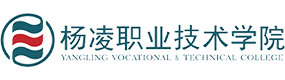 2021年-2025年高考招生資訊