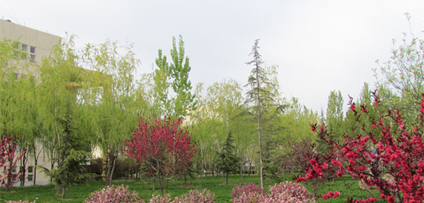 銅川職業(yè)技術(shù)學(xué)院