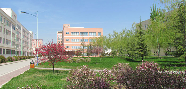 我的大學(xué)-大學(xué)志