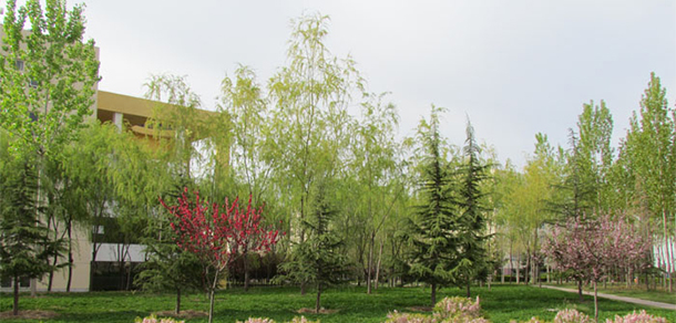 我的大學(xué)-大學(xué)志