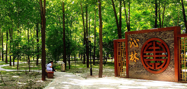 西安醫(yī)學(xué)高等?？茖W(xué)校 - 最美大學(xué)