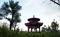 神木職業(yè)技術學院 - 我的大學