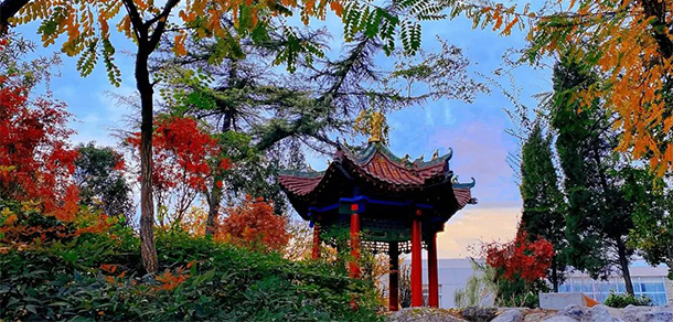 陜西財(cái)經(jīng)職業(yè)技術(shù)學(xué)院 - 最美大學(xué)