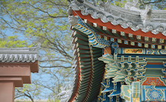 文化標(biāo)識(shí)：校名題寫 / ?；赵O(shè)計(jì)