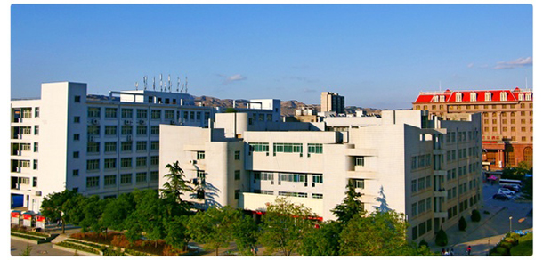 我的大學-大學志