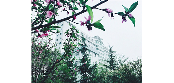 蘭州博文科技學(xué)院