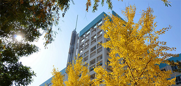 甘肅農業(yè)大學 - 最美大學