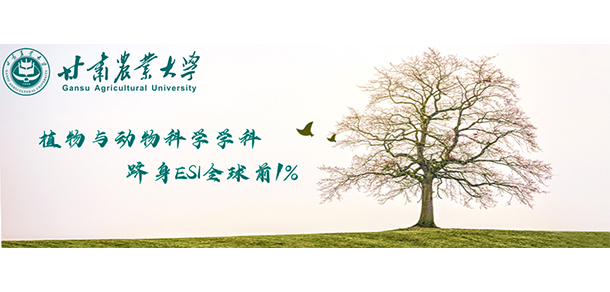 甘肅農業(yè)大學 - 最美大學