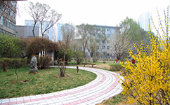 青海衛(wèi)生職業(yè)技術(shù)學院 - 我的大學